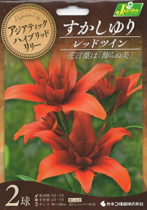 ԋ AWAeBbNnCubh[ d炷 bhcC 2 JlRc̋