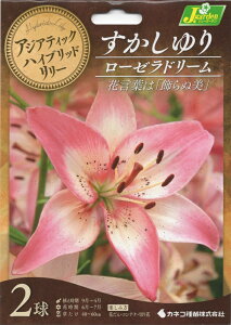 yԋzAWAeBbNnCubh[  [[h[ 2 JlRc̋