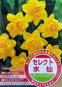 ԋ ZNg fBbNEFf 2 JlRc̋