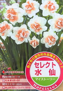 ԋ ZNg }CXg[[ 2 JlRc̋