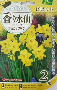 ԋ 萅 FJbv炫 ssbg 2 JlRc̋