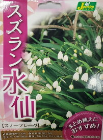 花球根 すずらん水仙（スノーフレーク）お徳用8球入 カネコ種苗の球根