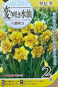 ԋ ς炫 d炫 ^q` 2 JlRc̋