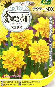 ԋ ς炫 d炫 e^e[gDX 2 JlRc̋