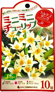 ԋ ~j~j`[bv gPX^jJ 10 JlRc̋