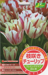 ԋ }炫`[bv t~ONu 4 JlRc̋