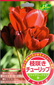 ԋ }炫`[bv t@C[Nu 4 JlRc̋