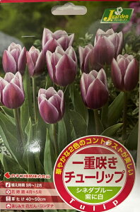 yԋzd炫 `[bviTjVl_u[ 4JlRc̋