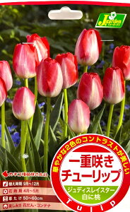 ԋ d炫 `[bviTj WfBXCX^[ 4JlRc̋