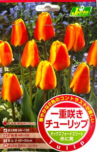 ԋ d炫 `[bviDHj IbNXtH[hG[g 4 JlRc̋