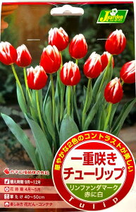 yԋzd炫 `[bviTj t@_}[N 4JlRc̋