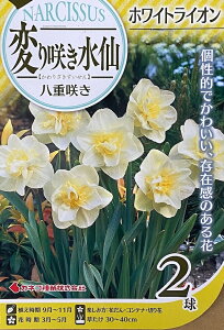 ԋ ς炫 d炫 zCgCI 2 JlRc̋