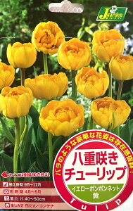 ԋ d炫 `[bv CG[||lbg 4 JlRc̋