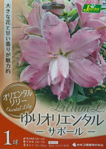 花球根 オリエンタルリリー ゆりオリエンタル サボール 1球入 カネコ種苗の球根