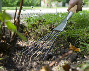 Darlac Bamboo Hand Rake �o���u�[ �n���h���[�L