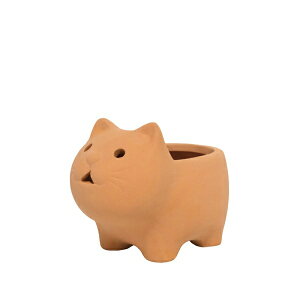 GREEN HOUSE Aj}eRb^SS(2) lR