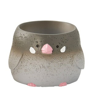 GREEN HOUSE gW|bg V[Y  1(Ȃ)