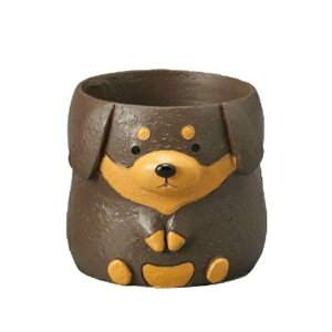 GREEN HOUSE gW|bg hbOV[Y ~j`A_bNXth 1(Ȃ)