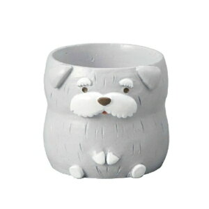 GREEN HOUSE gW|bg hbOV[Y ViEU[ CgO[1(Ȃ)