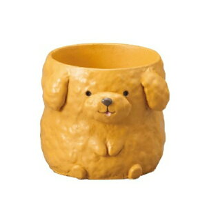 GREEN HOUSE gW|bg hbOV[Y gCv[h CguE1(Ȃ)