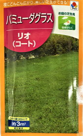 芝種子 バミューダグラス リオ(コート) タキイ種苗のタネ