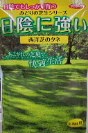芝種子 西洋芝 日陰に強い西洋芝のタネ(芝草) サカタのタネ