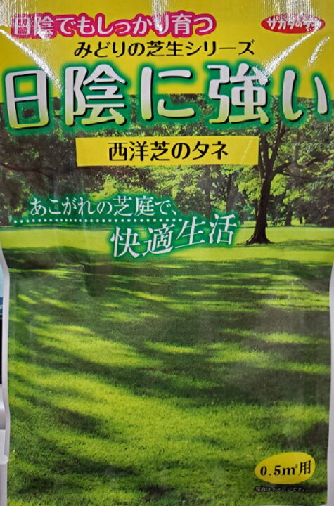 楽天市場 種子 西洋芝日陰に強い西洋芝のタネ 芝草 サカタのタネ Ivy