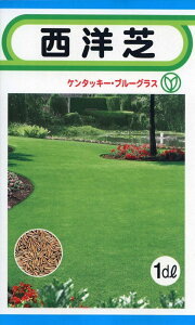 yqzm P^bL[u[OX 1dl g[zÑ^l