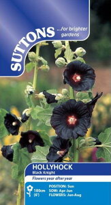 yqzSuttons Seeds Hollyhock 'Black Knight' zzbN 'ubNEiCg' TbgYV[h