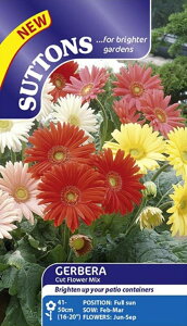 yqzSuttons Seeds Gerbera 'Cut Flower Mix' K[x 'JbgEt[E~bNX' TbgYV[h