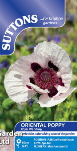 yqzSuttons Seeds Oriental Poppy 'Royal Wedding' IG^ |s[ 'CEEFfBO' TbgYV[h