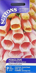 【種子】Suttons Seeds Foxglove(digitalis) Suttons Apricot フォックスグローブ(ジギタリス) サットンズ・アプリコット サットンズシード