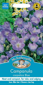 【種子】Mr.Fothergill's Seeds Campanula carpatica Blue カンパニュラ（カンタベリー・ベルズ） カルパティカ・ブルー ミスター・フォザーギルズシード