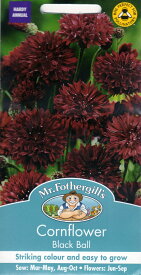 【種子】Mr.Fothergill's Seeds Cornflower Black Ball コーンフラワー（セントーレア）ブラック・ボール ミスター・フォザーギルズシード