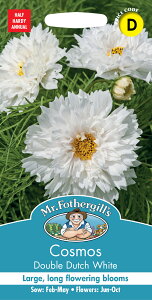 【種子】Mr.Fothergill's Seeds Cosmos Double Dutch White コスモス ダブル・ダッチ・ホワイト ミスター・フォザーギルズシード
