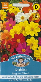 【種子】Mr.Fothergill's Seeds Dahlia Mignon Mixed ダリア・ミニヨン・ミックス ミスター・フォザーギルズシード