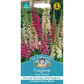 【種子】Mr.Fothergill's Seeds Foxglove Digitalis Foxy Mixed フォックスグローブ（ジギタリス）フォクシー・ミックス ミスター・フォザーギルズシード