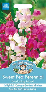 yqzMr.Fothergill's Seeds Sweet Pea Perennial Everlasting Mixed XC[gs[EGo[XeBOE~bNX ~X^[EtHU[MYV[h