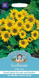 【種子】Mr.Fothergill's Seeds Sunflower Little Leo サンフラワー リトル・レオ ミスター・フォザーギルズシード