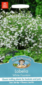 【種子】Mr.Fothergill's Seeds Lobelia White Fountain ロベリア ホワイト・ファウンテン ミスター・フォザーギルズシード