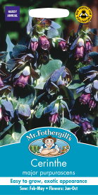 【種子】Mr.Fothergill's Seeds Cerinthe major purpurascens セリンセ・メジャー・プルプラセンス ミスター・フォザーギルズシード