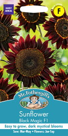 【種子】Mr.Fothergill's Seeds Sunflower Black Magic F1 サンフラワー ブラック・マジック・F1 ミスター・フォザーギルズシード
