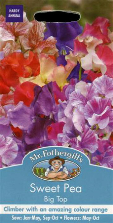 楽天市場】【輸入種子】Mr.Fothergill's Seeds Sweet Pea Big Top Mix スイート・ピー ビッグ・トップ・ミックス  ミスター・フォザーギルズシード : Ivy