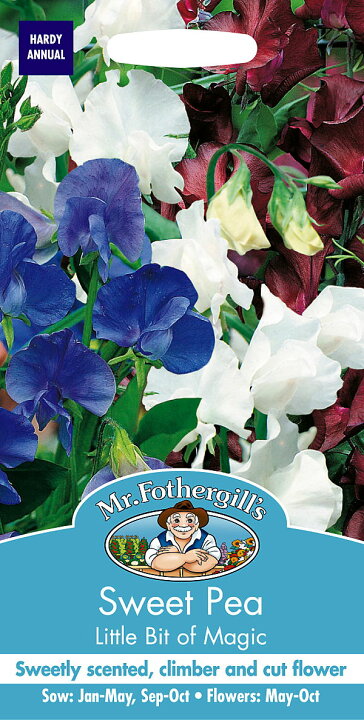 楽天市場】【輸入種子】Mr.Fothergill's Seeds Sweet Pea Little Bit of Magic スイート・ピー  リトル・ビット・オブ・マジック ミスター・フォザーギルズシード : Ivy