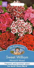 【種子】Mr.Fothergill's Seeds Sweet William Monarch Mixed スイート・ウイリアム（なでしこ）・モナーク・ミックス ミスター・フォザーギルズシード