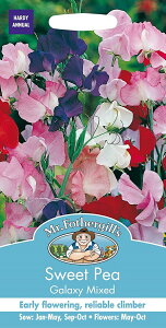 yqzMr.Fothergill's Seeds Sweet Pea Galaxy Mixed XC[gs[ MNV[E~bNX ~X^[EtHU[MYV[h