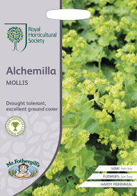 【種子】Mr.Fothergill's Seeds Royal Horticultural Society Alchemilla MOLLIS アルケミラ モリス ミスター・フォザーギルズシード