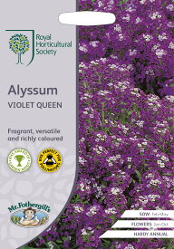 【種子】Mr.Fothergill's Seeds Royal Horticultural Society Alyssum VIOLET QUEEN RHS アリッサム バイオレット・クイーン ミスター・フォザーギルズシード