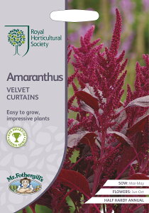 【種子】Mr.Fothergill's Seeds Royal Horticultural Society Amaranthus VELVET CURTAINS RHS アマランサス ベルベット・カーテン ミスター・フォザーギルズシード