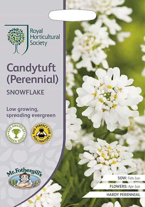 輸入種子 Mr Fothergill S Seeds Royal Horticultural Society Candytuft Perennial Snowflake Rhs キャンディタフト ペレニアル スノーフレーク ミスター フォザーギルズシード Product Details Japanese Proxy Shopping Service From Japan